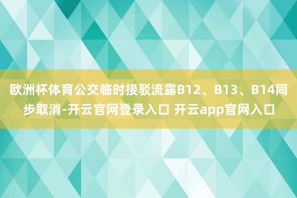 欧洲杯体育公交临时接驳流露B12、B13、B14同步取消-开云官网登录入口 开云app官网入口