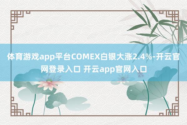 体育游戏app平台COMEX白银大涨2.4%-开云官网登录入口 开云app官网入口